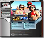Professional Flash Web Site